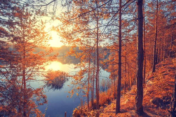 Paisaje Otoño Orilla Rocosa Del Lago Amanecer Hermosa Naturaleza Noruega — Foto de Stock