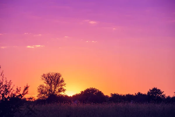 Сільський Пейзаж Увечері Заході Сонця — стокове фото