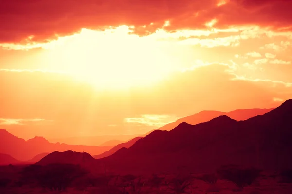 Mountain nature landscape. Desert in the early morning. Beautiful sunrise in the mountains. Negev Desert. View of the valley with the silhouette of a mountain range in the background. The nature of Israel. The view from the car