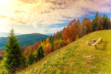 Dağlarda sonbahar. Sonbaharda dağların panoramik manzarası. Güzel doğa manzarası. Karpat Dağları. Bukovel, Ukrayna
