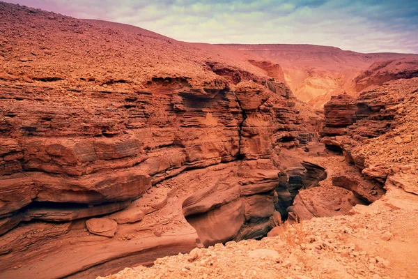 Cañón Rojo Desierto Lecho Seco Del Río Israel — Foto de Stock