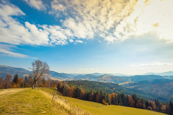 산에서 가을을 보내며 파노라마처럼 가을에는 계곡을 내려다볼 수있습니다 아름다운 카르파티아 — 스톡 사진