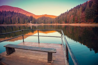 Güzel bir manzara, sonbaharda şafakta gölün etrafını süslüyor. Ukrayna 'nın Karpat Dağları' ndaki Synevyr Gölü. Ulusal Park Synevyr Polyana. Ukrayna, Avrupa