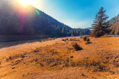 Dağ nehri, güzel doğa, vahşi doğa, Avrupa