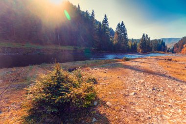 Dağ nehri, güzel doğa, vahşi doğa, Avrupa