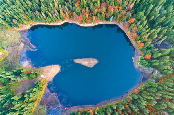 Ukrayna 'nın Karpat Dağları' ndaki Synevyr Gölü 'nün havadan görünüşü. Transcarpathian bölgesindeki Synevyr Polyana Ulusal Parkı. Ukrayna, Avrupa