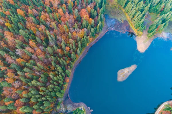 Vista Aérea Del Lago Synevyr Las Montañas Cárpatos Ucrania Parque — Foto de Stock