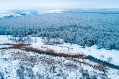 Nehirli ve karlı çam ormanlı kış manzarası. Karla kaplı ağaçlar. Hava görünümü