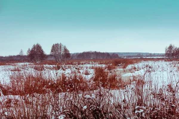 Tarladaki Ilk Kar Kış Doğası Doğa Arkaplanı — Stok fotoğraf
