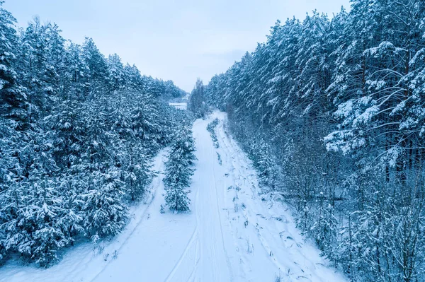 Vue Dessus Route Campagne Enneigée Nature Fond Hiver Forêt Enneigée — Photo