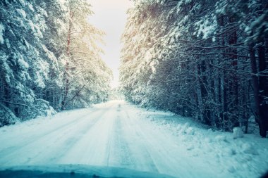 Ormandaki yol karla kaplı. Kış doğası, Karlı Orman. Karla kaplı çam ağaçları. Kış doğası Noel geçmişi