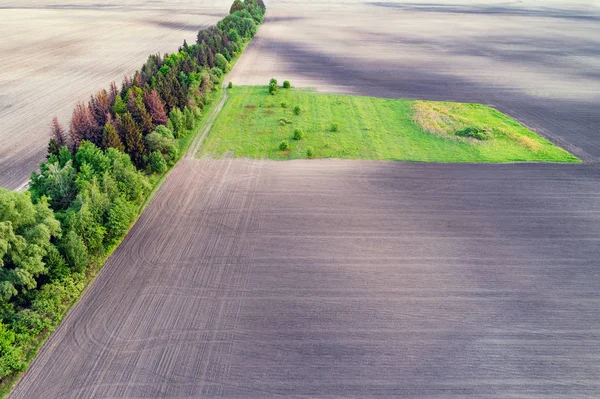 Landelijk Landschap Zicht Van Bovenaf Akkerland Met Rij Bomen — Stockfoto