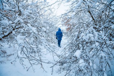 Kışın karlı bahçede yürüyen adam