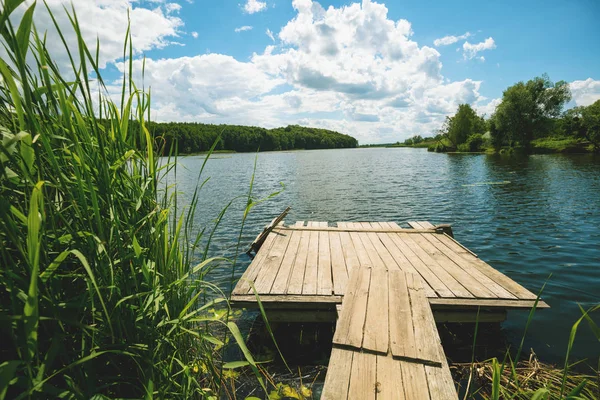 Oever Van Het Meer Met Houten Dek Hoge Zegge Zomer — Stockfoto