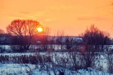 Kış manzarası. Kırsalda bir akşam. Gün batımında, karla kaplı güzel bir gökyüzü var. Sihirli ışığı olan kırsal alan.
