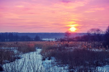 Kış manzarası. Kırsalda bir akşam. Gün batımında, karla kaplı güzel bir gökyüzü var. Sihirli ışığı olan kırsal alan.
