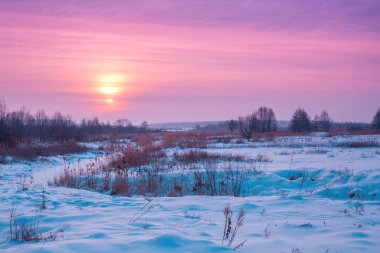 Kış manzarası. Kırsalda bir akşam. Gün batımında, karla kaplı güzel bir gökyüzü var. Sihirli ışığı olan kırsal alan.