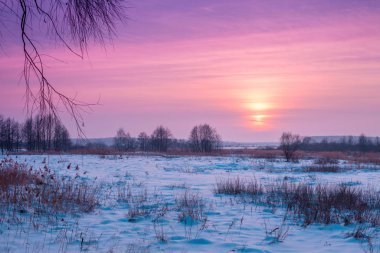 Kış manzarası. Kırsalda bir akşam. Gün batımında, karla kaplı güzel bir gökyüzü var. Sihirli ışığı olan kırsal alan.