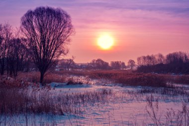 Kış manzarası. Kırsalda bir akşam. Gün batımında, karla kaplı güzel bir gökyüzü var. Sihirli ışığı olan kırsal alan.