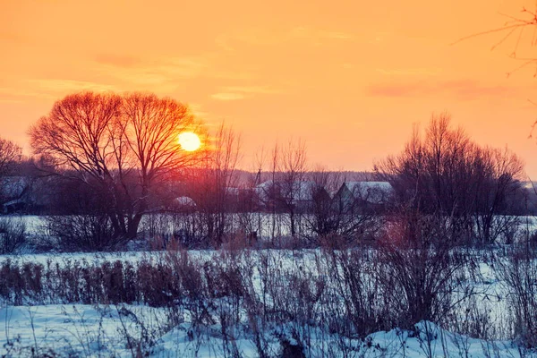 Kış manzarası. Kırsalda bir akşam. Gün batımında, karla kaplı güzel bir gökyüzü var. Sihirli ışığı olan kırsal alan.