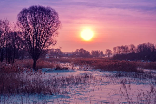 Kış manzarası. Kırsalda bir akşam. Gün batımında, karla kaplı güzel bir gökyüzü var. Sihirli ışığı olan kırsal alan.