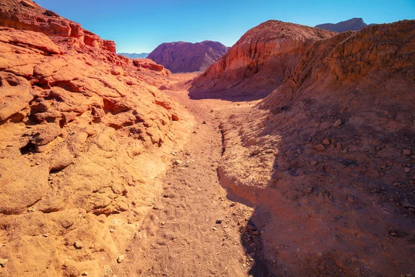 Paisaje Natural Del Desierto Piedra Arenisca Camino Tierra Timna Park — Foto de Stock