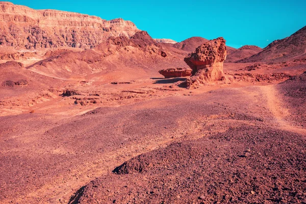 Pustynia Rocky Mountain Grzyby Półtora Parku Timna Izrael — Zdjęcie stockowe