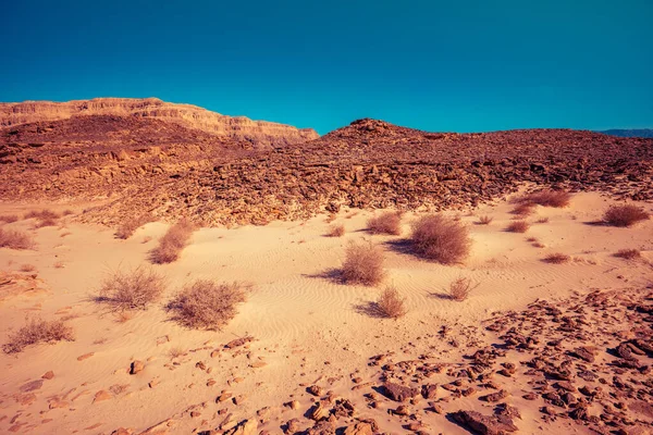 Pustynna Przyroda Skały Piaskowca Parku Timna Izrael — Zdjęcie stockowe