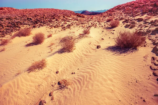 Desert Nature Landscape Sandstone Rocks Timna Park Israel — Stock Photo, Image