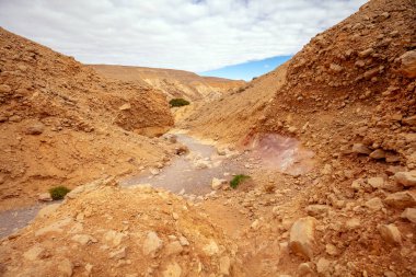 Kuru nehir yatağı. Çöl doğa manzarası. Taş dokusu. Soyut doğal kumtaşı arka planı. Kızıl Kanyon, Eilat, İsrail