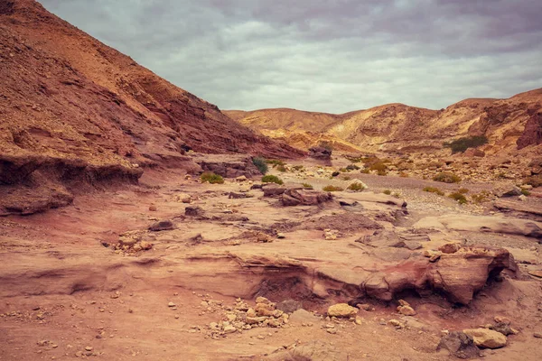 Dry riverbed. Desert nature landscape. Stone texture. Abstract natural sandstone background. Red Canyon, Eilat, Israel