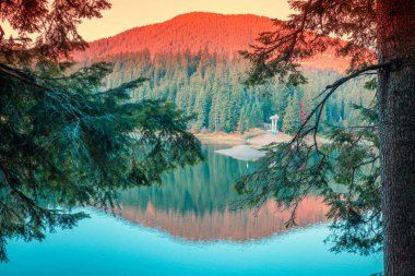 Güzel manzara, sonbaharda gölün etrafındaki köknar ağaçları. Gündoğumunda Ukrayna 'nın Karpat Dağları' ndaki Synevyr Gölü. Zakarpattia Oblastı 'ndaki Synevyr Poliana Ulusal Parkı. Ukrayna