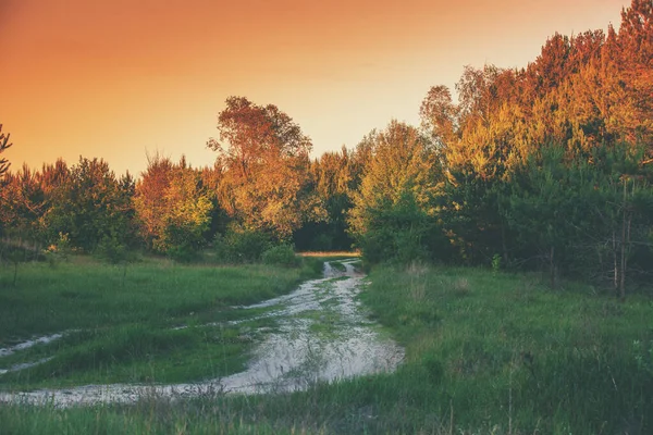 日没の光で森林や道路と農村風景 夕方の田舎道 — ストック写真