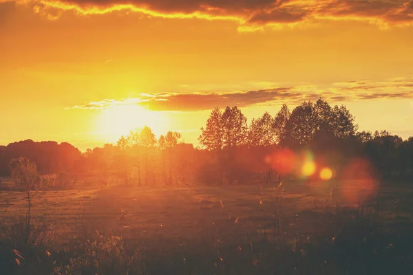 Ländliche Landschaft Abend Bei Sonnenuntergang Feld Mit Bäumen Gegen Den — Stockfoto