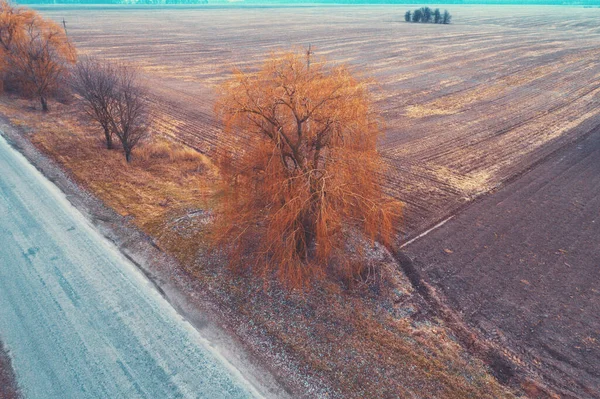 Uitzicht Vanuit Lucht Het Platteland Direct Landweggetje Akkerland Herfstavond — Stockfoto