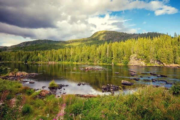 Mountain Rocky River Beautiful Nature Norway — Stock Photo, Image