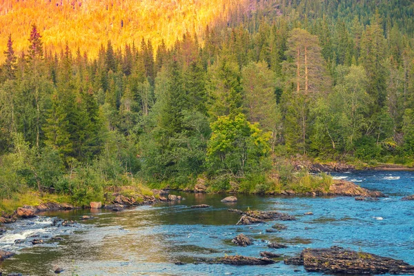 マウンテン川だ ノルウェーの美しい自然 — ストック写真