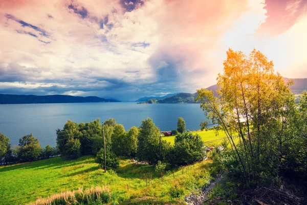 Blick Auf Den Fjord Bei Sonnenuntergang Wiese Meeresufer Blauer Bewölkter — Stockfoto