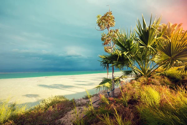 Paesaggio Tropicale Con Cielo Drammatico Sulla Costa Del Mar Morto — Foto Stock