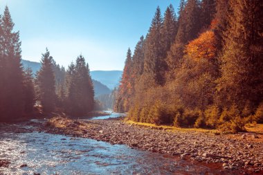 Kayalık bir kıyısı olan dağ nehri. Güzel doğal manzara