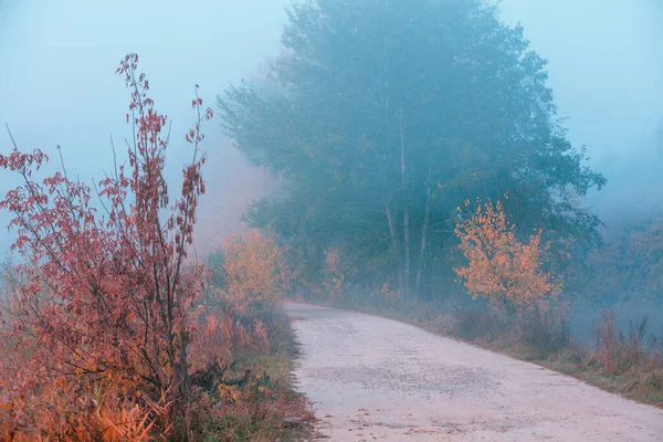 Country Dirt Road Early Misty Autumn Morning — Stock Photo, Image