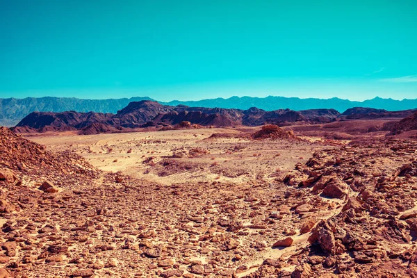 ロッキーマウンテン砂漠 自然景観 — ストック写真
