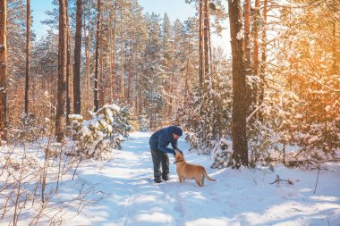 İnsan ve köpek en iyi arkadaşlardır. Bir adam ve bir köpek güneşli bir kış gününde karlı bir ormanda yol boyunca yürüyorlar.