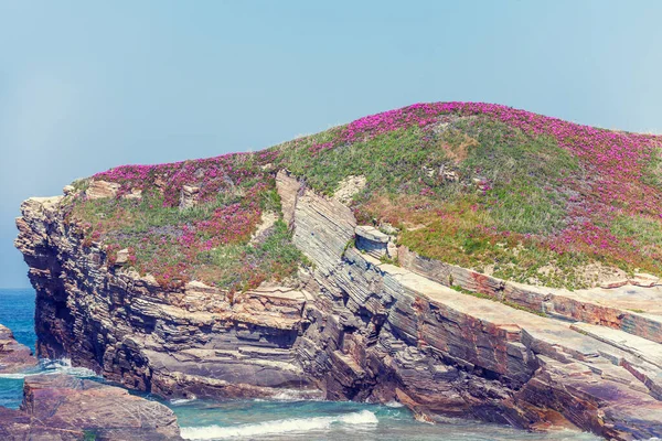 岩の多い海岸の眺め 自然の風景 ロッキービーチ 春に岩に花を咲かせます — ストック写真