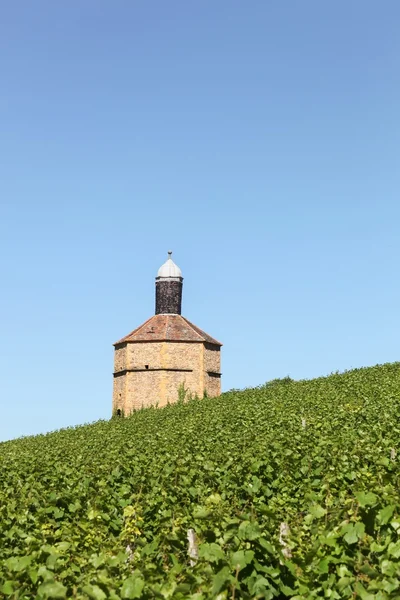 Old dovecote in Bagnols, Beaujolais, France — Stock Photo, Image