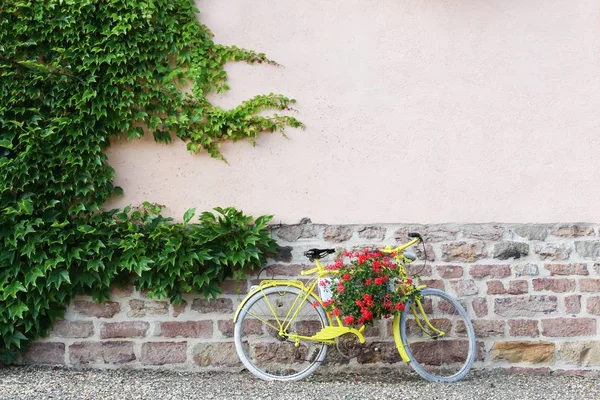 Beaujolais, Fransa için çiçekli sarı Bisiklet — Stok fotoğraf