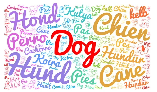 Dog in different languages word cloud — Stock Photo, Image