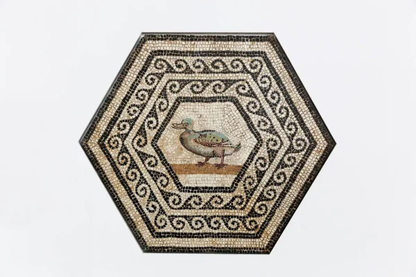 Gallo roman mosaic on a wall in Saint Romain en Gal, France — Stock Photo, Image