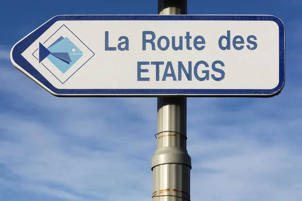 Road of ponds in Dombes region, France — Stock Photo, Image