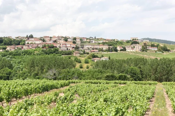 Widok wsi Vaux en Beaujolais w Beaujolais, Francja — Zdjęcie stockowe